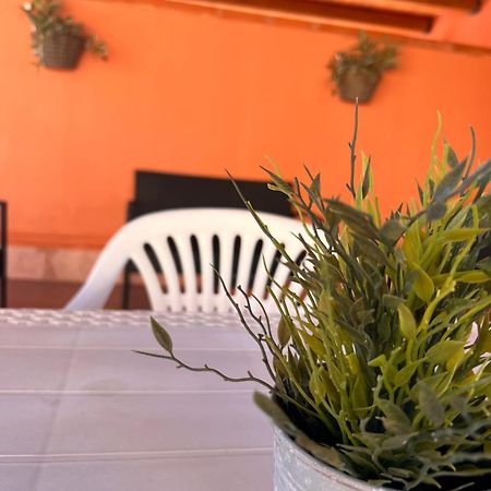 Casa Vacanze Filippa Balestrate Exteriör bild