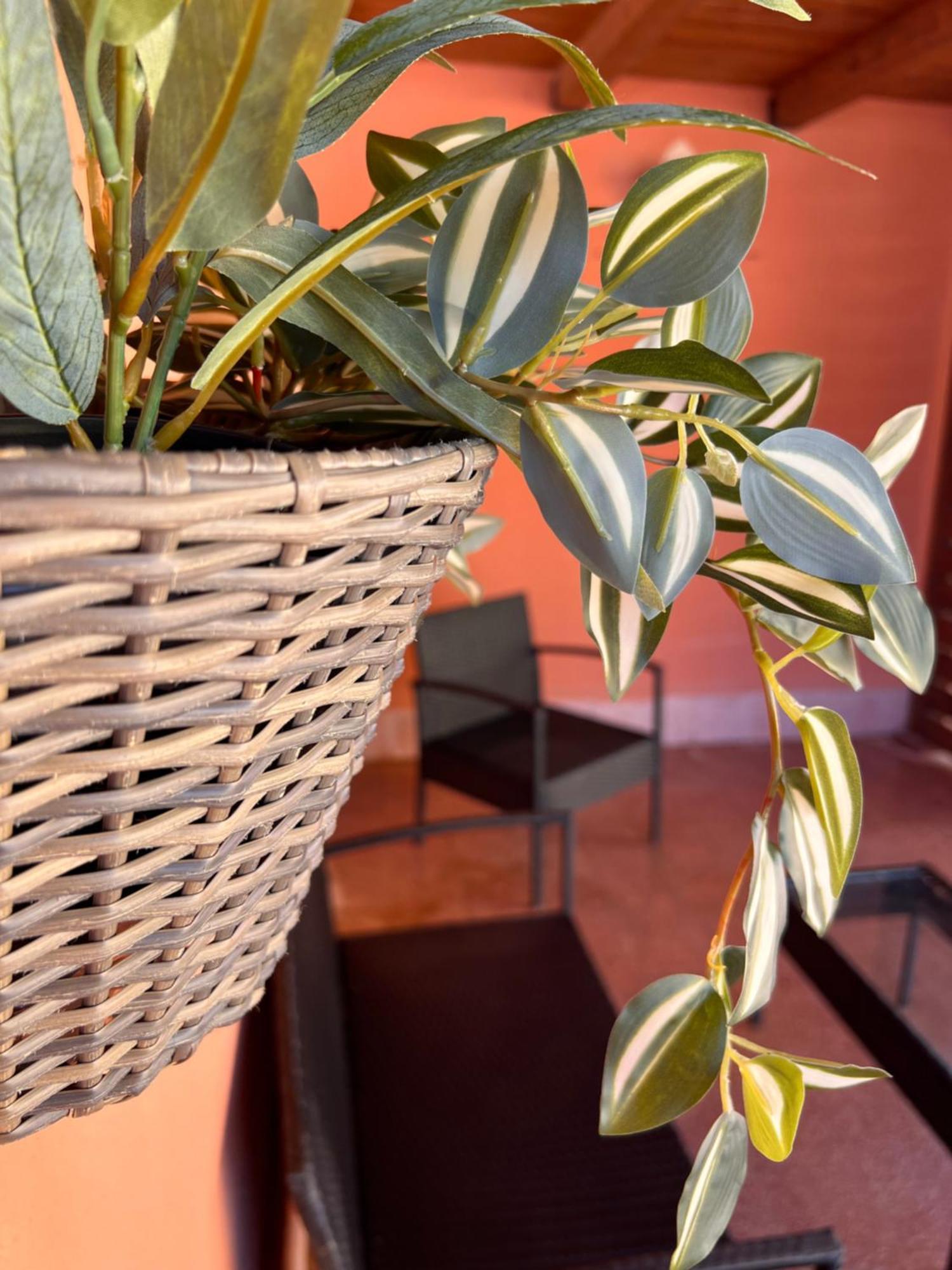 Casa Vacanze Filippa Balestrate Exteriör bild